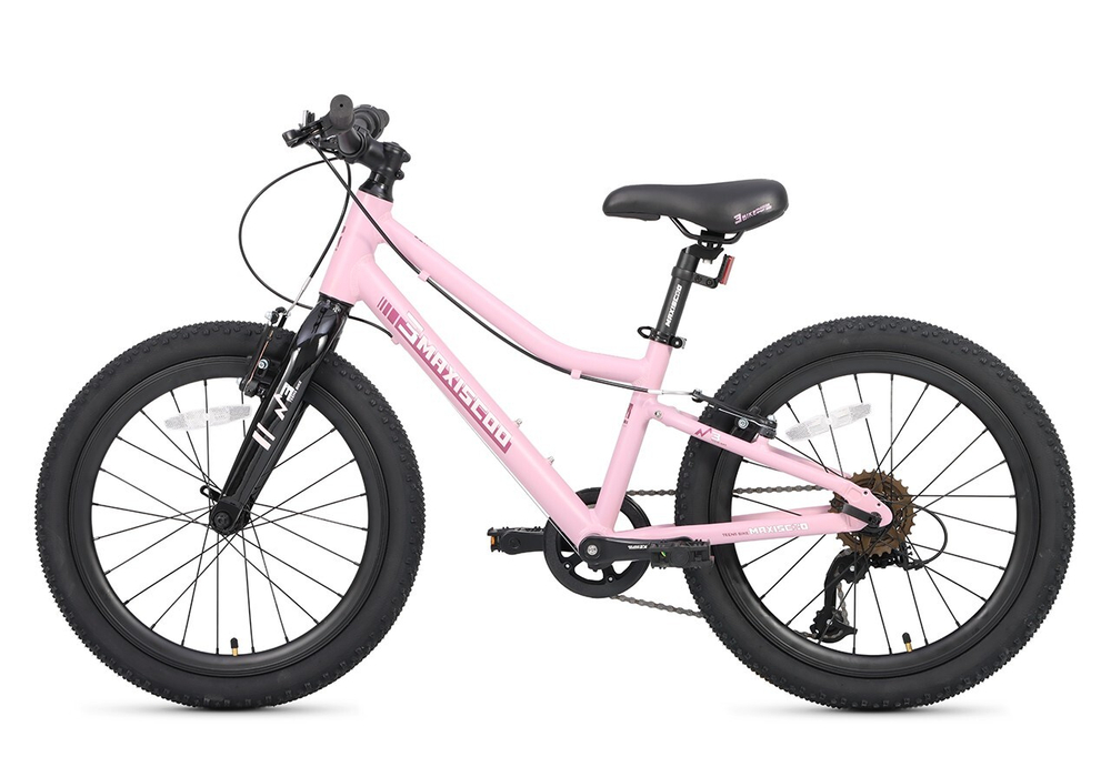 Maxiscoo 3BIKE 20'' L (2025)