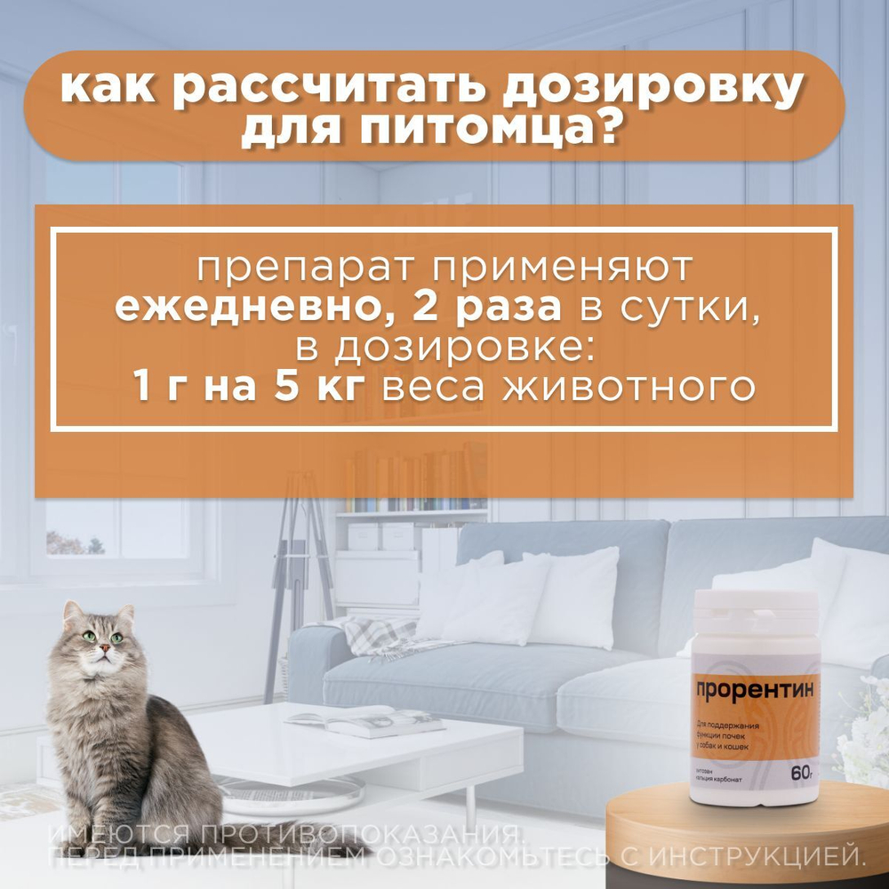 Прорентин порошок для поддержания функции почек у кошек и собак, порошок для приема внутрь, 60 г. Хитозан.