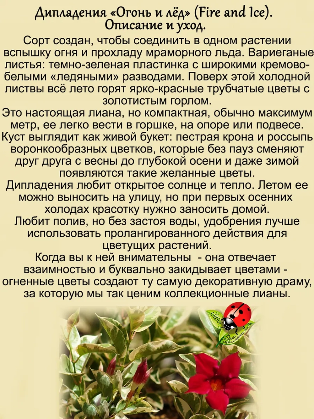 Дипладения Огонь и лёд Мандевила