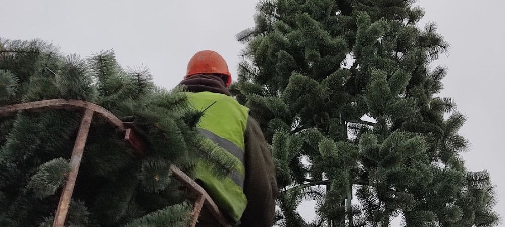 Уличная елка ствольная "Альпийская сосна" (леска) от 3 до 22 м