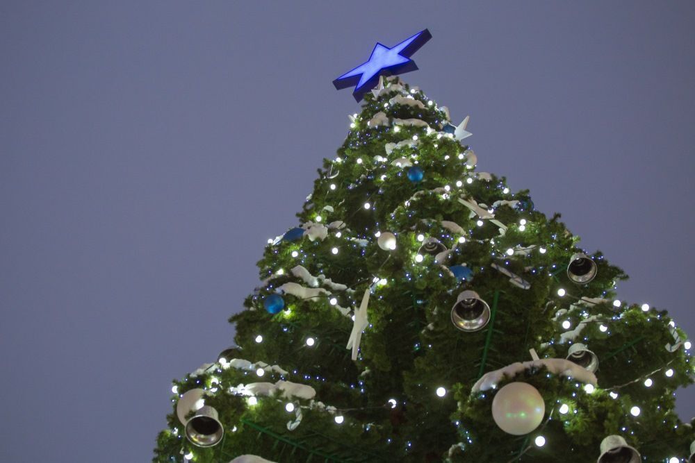 Светодинамическая елка ствольная - встроенная гирлянда: Холодный свет - "Таежная" от 11 до 21 м