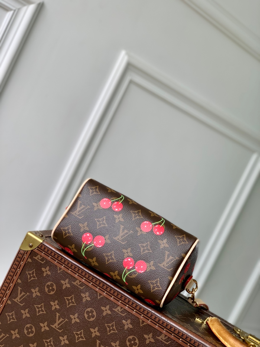 Louis Vuitton Speedy 20