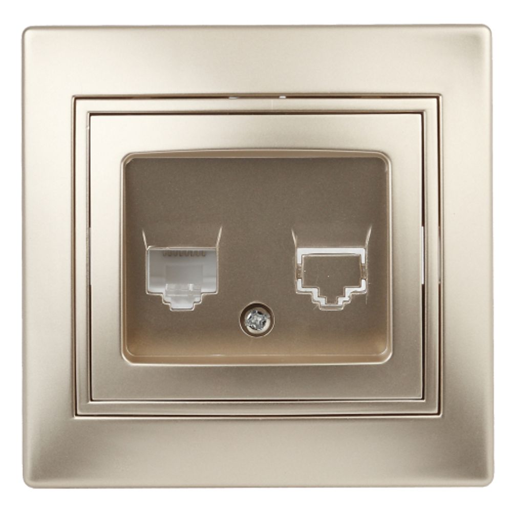 Розетка Intro Plano 1-303-04 информационная RJ45, IP20, СУ, шампань | Intro Plano Шампань