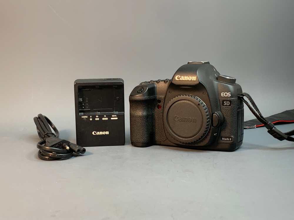 Canon EOS 5D Mark II 69.700 кадров