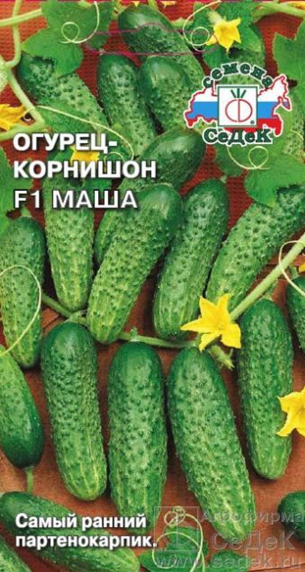 Огурец Маша F1 0,15 г Седек