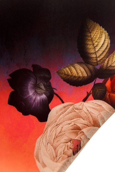 Плавки 7230 Penelope Shade