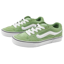 Мужские кеды Vans Caldrone 'Green White' VN000CSPEMZ