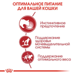 Мелкие кусочки в соусе, 85г Instinctive для кошек от 1 до 7 лет Royal Canin