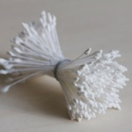 Тычинки крупные (Белые)