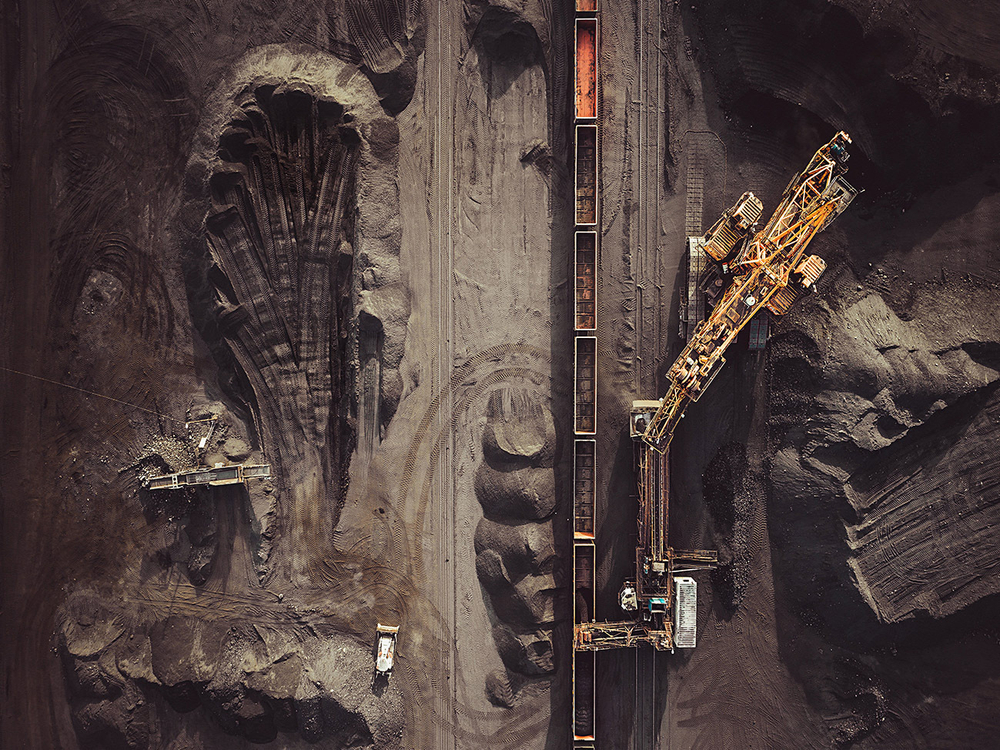 Дизайнерские обои Wall Street Bird see