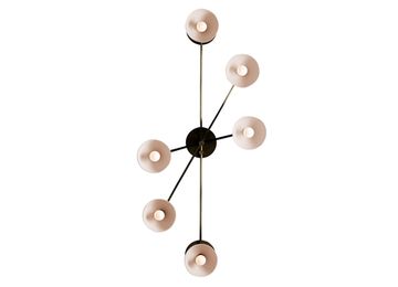 Apparatus Trapeze 6 Surface