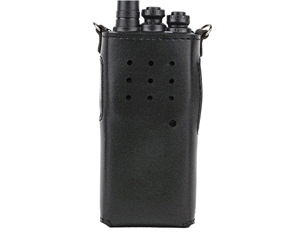 Чехол Аргут CH-55