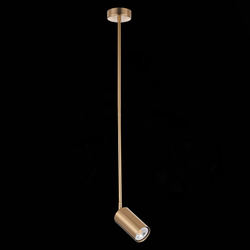 Светильник на штанге ST-Luce SL1206.303.01