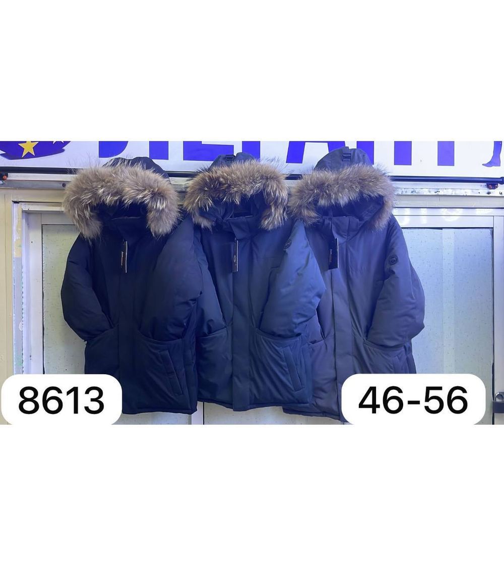 Парка зимняя