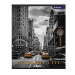Тетрадь 36 л., А5, клетка, Alingar "Городские виды ", скрепка, офсет, мелованный картон (стандарт), 4 дизайна в пленке т/у
