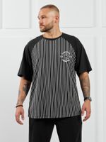 Фуфайка (футболка) мужская Реванш-3 Виотекс ПОЛОСА