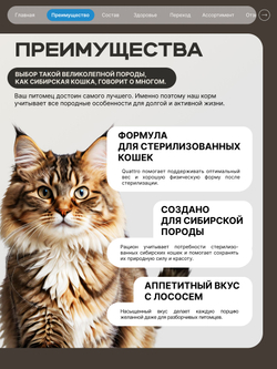 Корм сухой для стерилизованных кошек породы Сибирская, с лососем, 400 гр, QUATTRO
