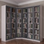 Книжный угловой №7 (мадес)