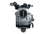 Карбюратор TSS-GJH95 /Carburetor