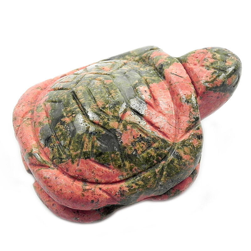 Черепаха унакит асс.