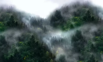 Цифровое панно ID Wall FOGGY MOUNTAINS