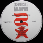 Сборник / Coincidence V. Fate (2LP)