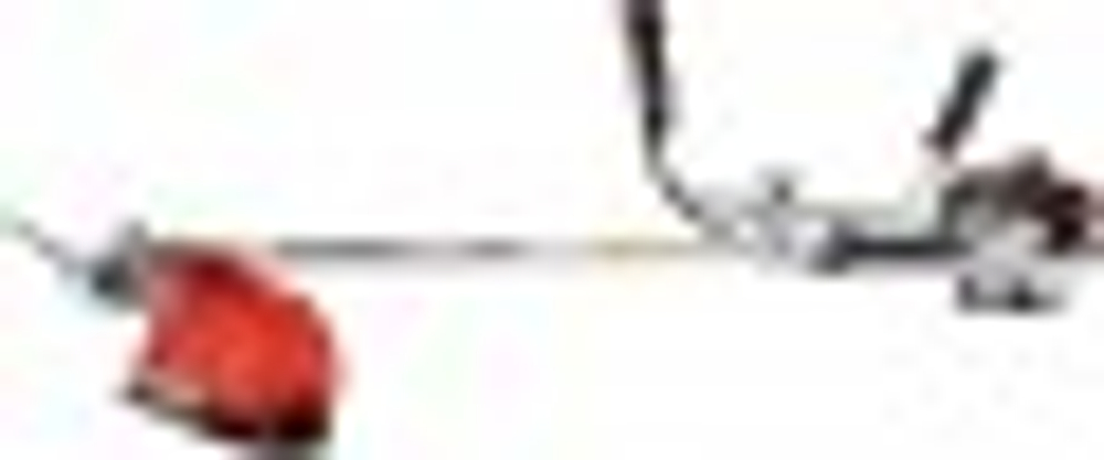 Мотокоса Evoline BCG33ES