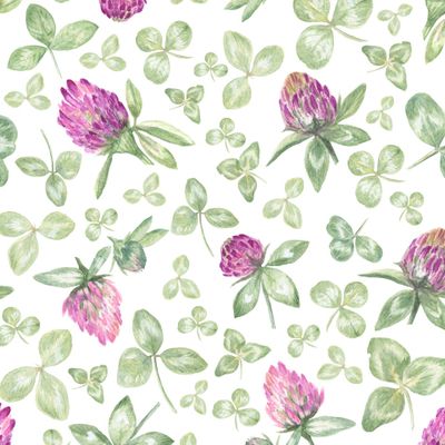 Нежный клевер (на белом) / Gentle Clover (on white)