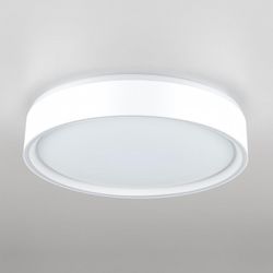 Накладной светильник Citilux BOSS CL751250G