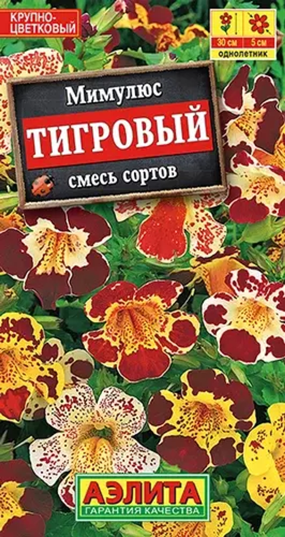 Мимулюс Аэлита - купить в Дмитрове, Москве и Московской области по низкой  цене