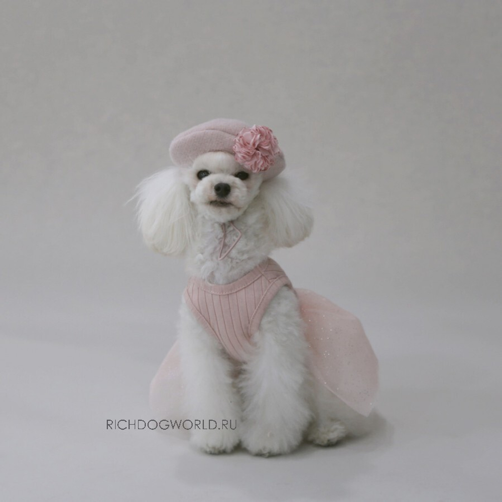 5752 BH Платье-пачка "Shine Tutu"