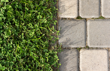 Весенний ремонт дорожек: восстановление покрытий после зимы