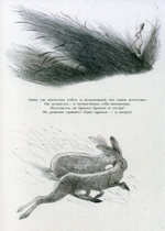 Заяц и кролики