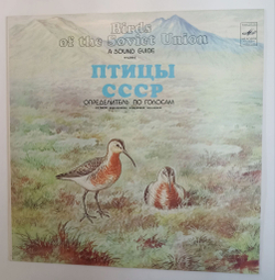 Винтажная виниловая пластинка LP Б. Вепринцев Кулики Веретенники, Плавунчики, Песочники Waders (СССР 1987)