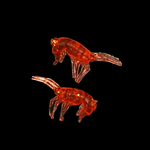 Рыболовные, силиконовые приманки. Рачки мормыш RuBaits Shrimp креветка. Набор для рыбалки на щуку, судака, окуня, форель. Зимняя рыбалка, микроджиг.
