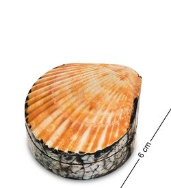 Decor and Gift 54-039-03 Декоративная шкатулка «Ракушка»