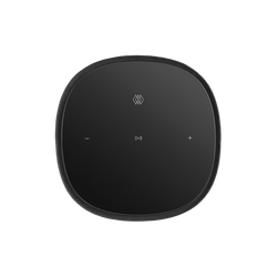 Беспроводная колонка Bowers & Wilkins Formation Flex