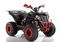 Квадроцикл WELS ATV Thunder 200 Evo X