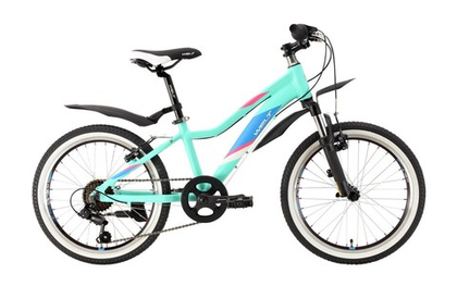 Подростковый велосипед WELT Edelweiss 20" (2021)