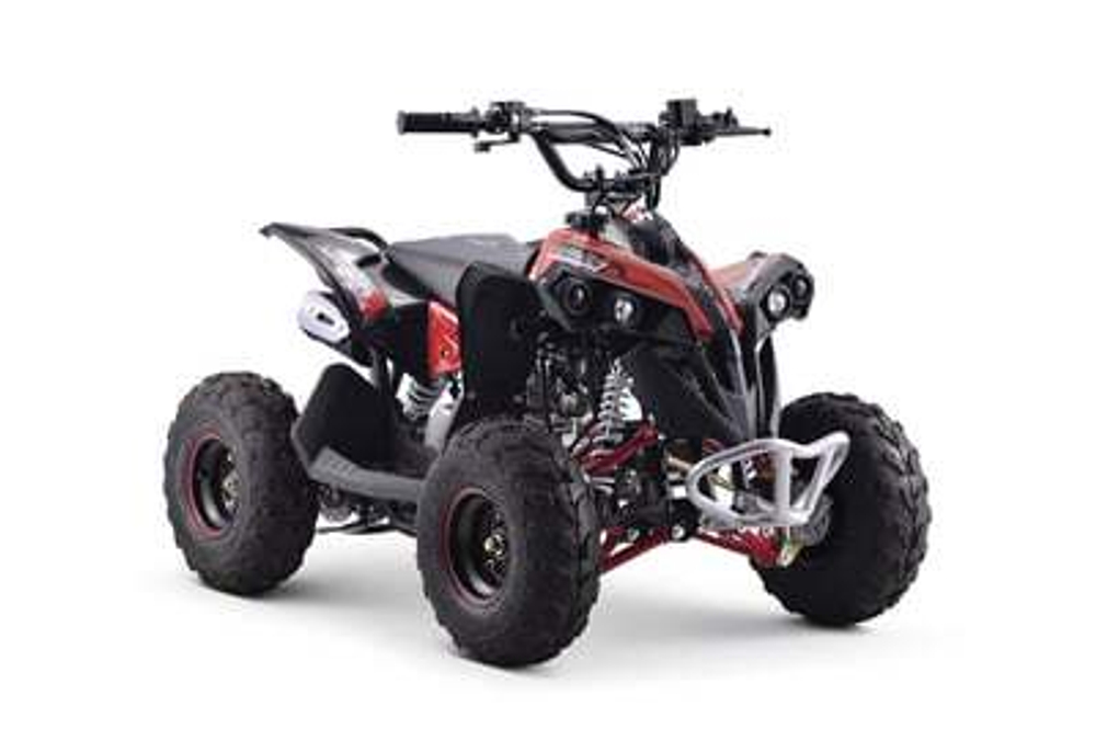 Квадроцикл YACOTA RENEGADE MINI