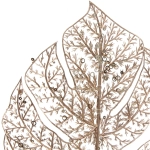 Ветка декоративная «Сказочный папоротник» 40 см, Шампань