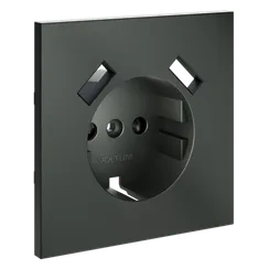 Накладка для розетки с заземлением и защитными шторками, с USB A+A, S70 (титан)