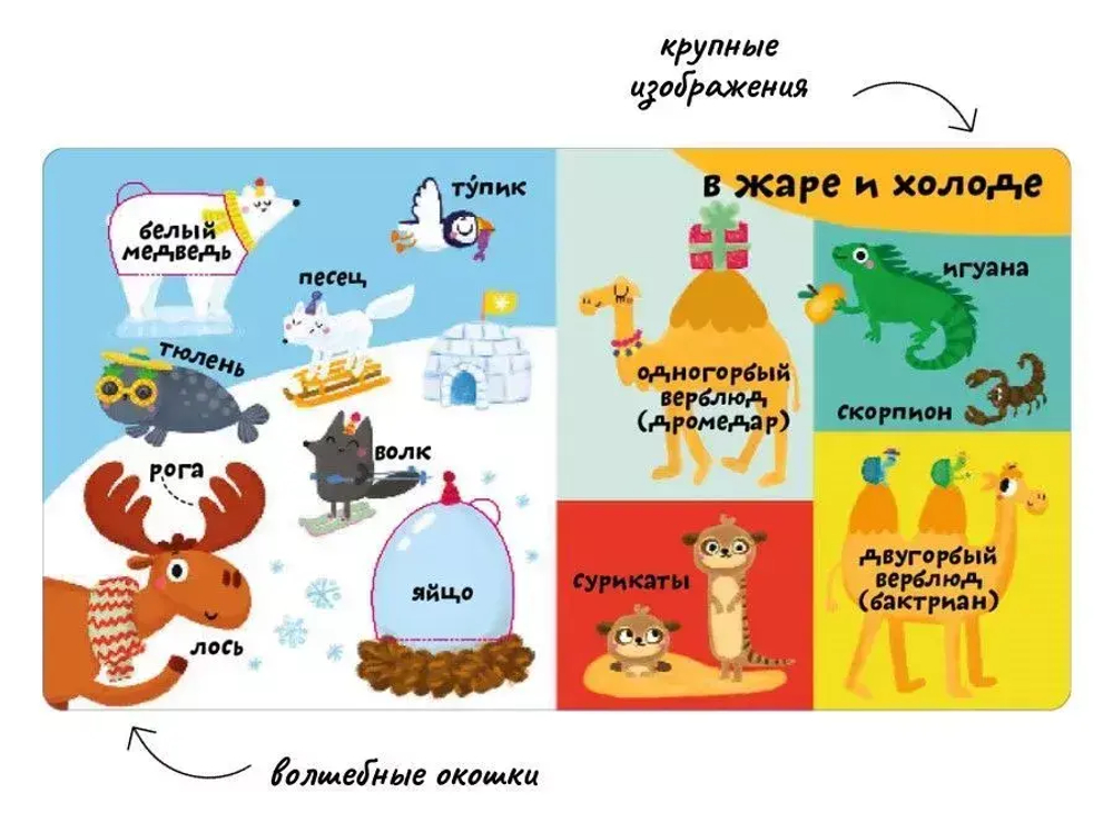 Мои первые 100 слов с окошками