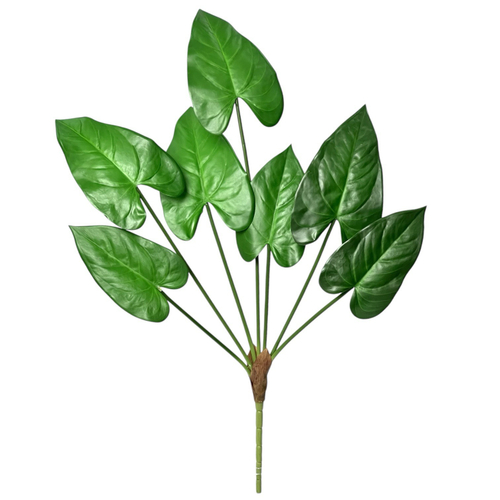 Филодендрон зеленый куст 70 см.