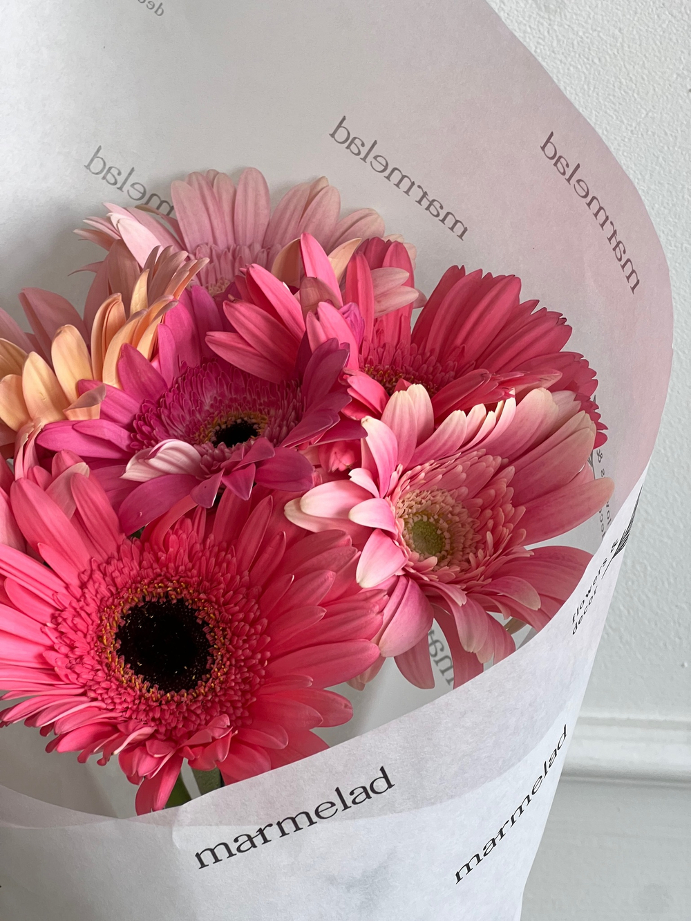 Кулек из гербер в розовом оттенке 7 шт