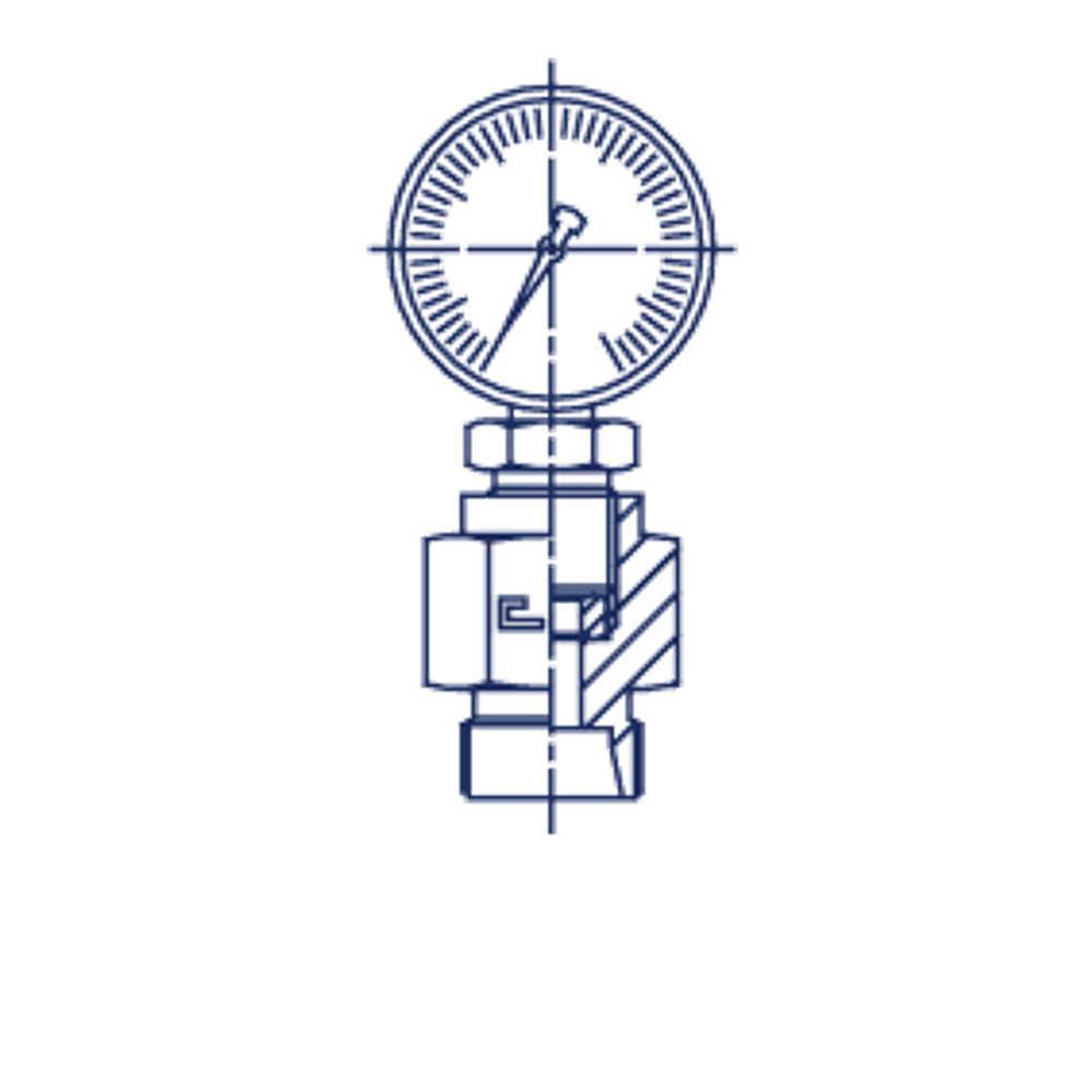 Штуцер DS08 BSP1/2"