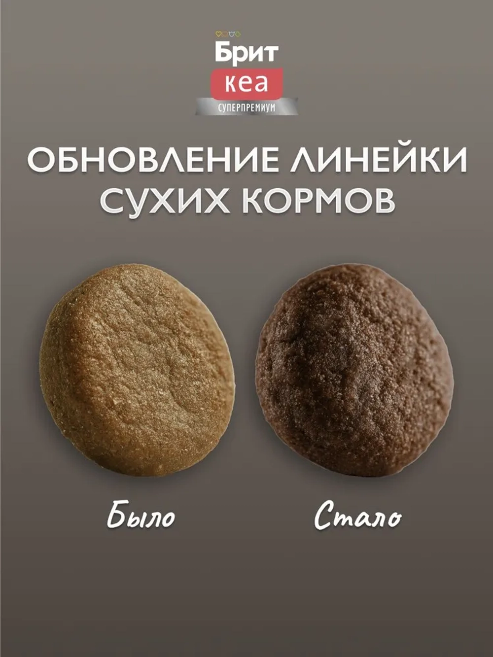 Сухой корм БРИТ КЭА для собак средних пород для улучшения состояния кожи и шерсти с Лососем и индейкой 12кг