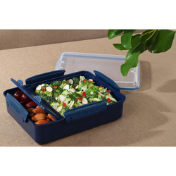 Контейнер с разделителями 975мл Sistema Renew синий