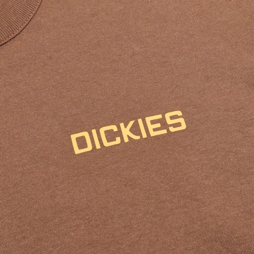 Лонгслив Dickies Payson 2-in-1 Let T-shirt артикул:DK0A88JF0TB1 - купить в магазине Дайс