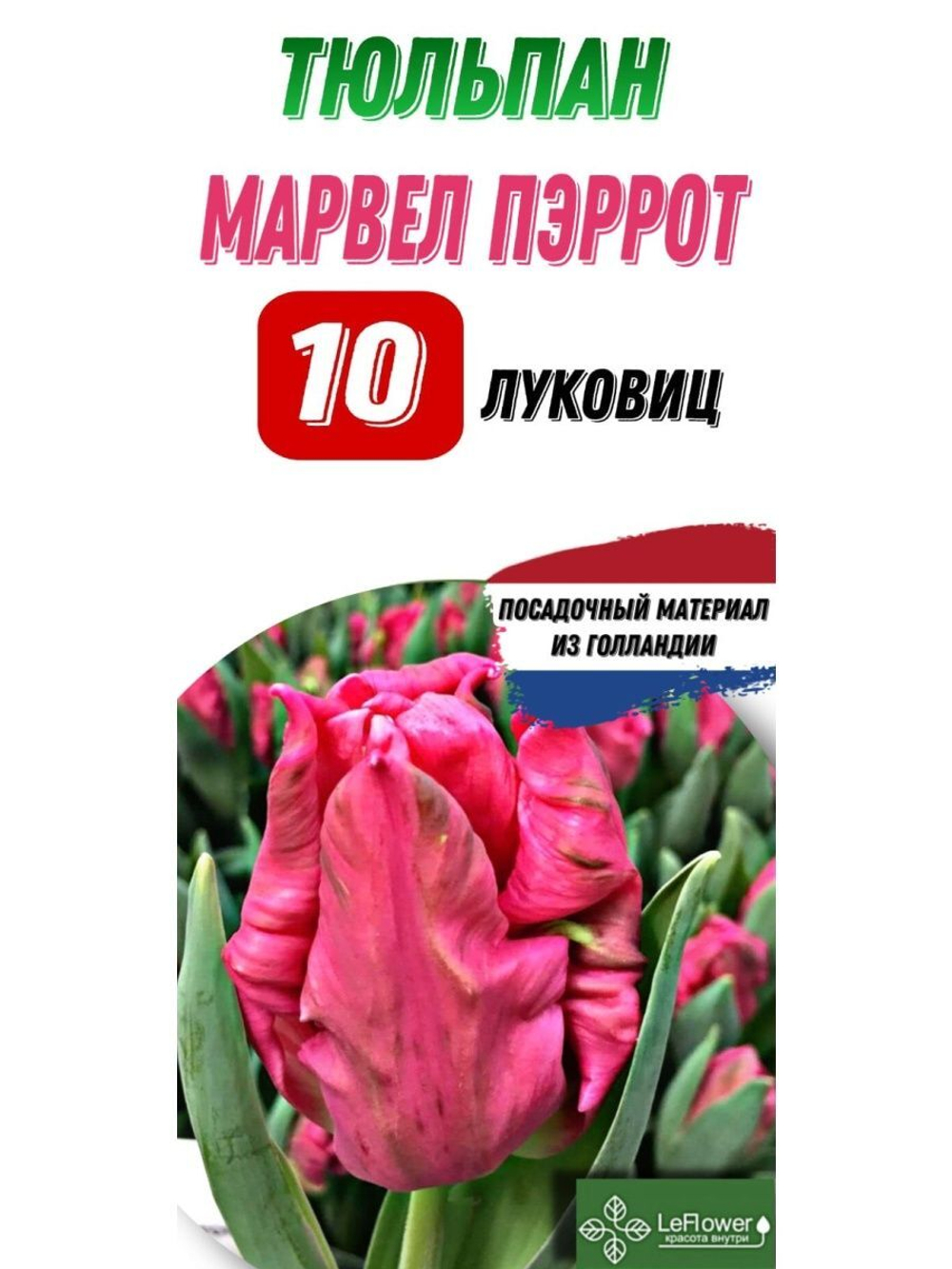 Тюльпан Луковица, Марвел Пэррот, 10шт